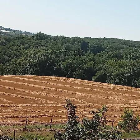 Independent And Modern In The Countryside * Saint-Paul-dʼEspis